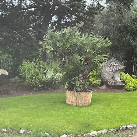 De 50m2 En Rez De Jardin - 3 Etoiles